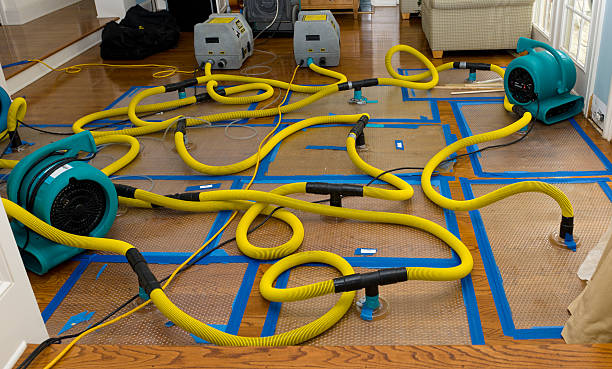 Professional Water Extraction technician working in Green Valley, WI